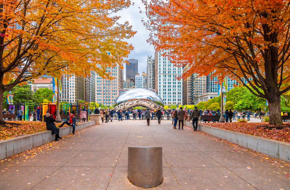 Millennium Park in Chicago with the Bean and fall trees.