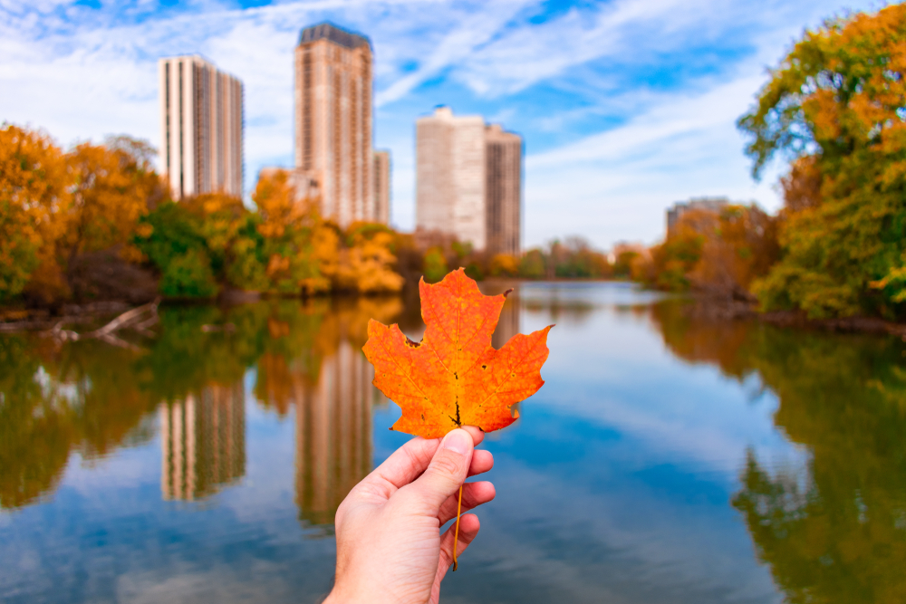 Head holding a fall leaf over the Chicago River with the skyline in the background.