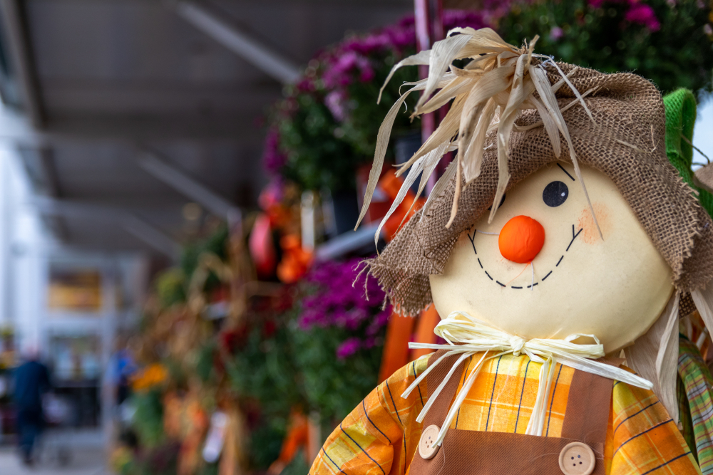 Close up of a decorative scarecrow's face.