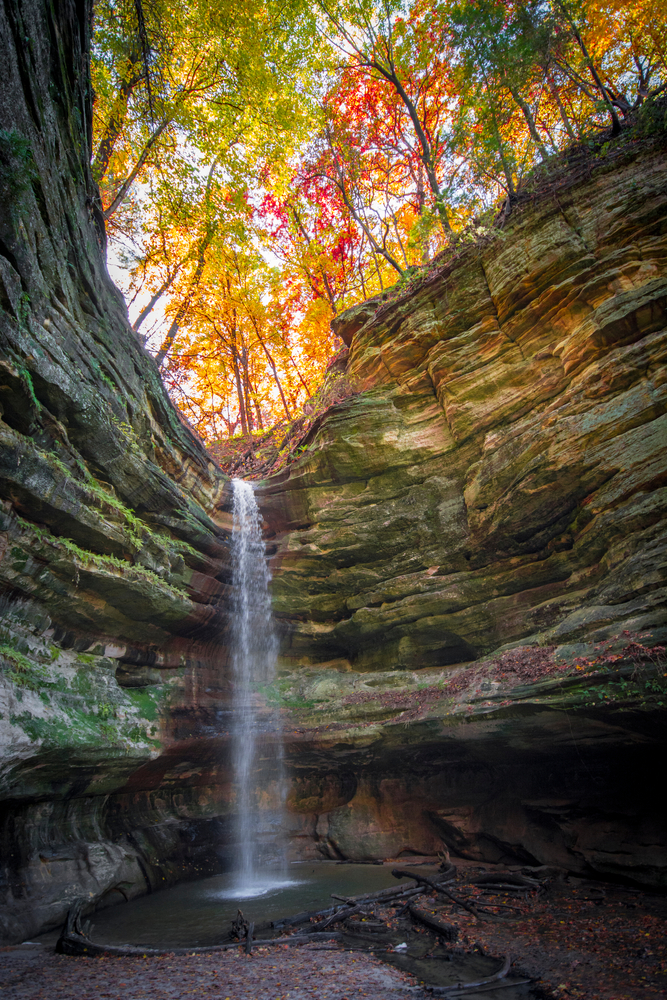 A waterfall cascading into a canyon with fall trees overhead.