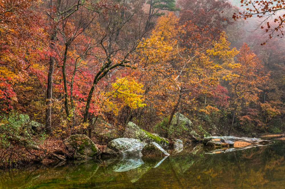 A river in the fall in Missouri on a foggy day. The leaves on the trees are orange, yellow, and red. 