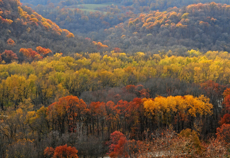 Fall In Iowa Best Fall Foliage + Activities Midwest Explored