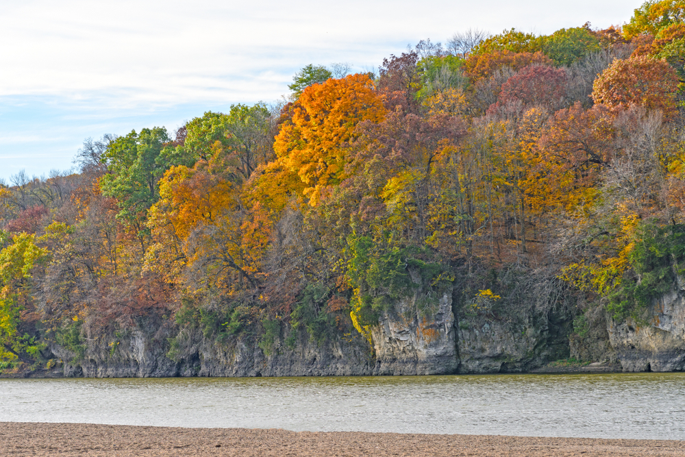 Fall Colors on a Cliff along a the Cedar River in Palisades-Kepler State Park. It is one of the places for fall in Iowa