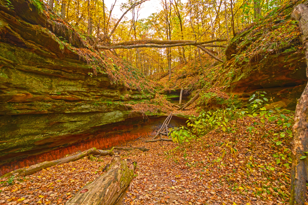 Hidden Canyon in the Fall Forest in Wildcat Den State Park surrounded by colorful foilage. 
