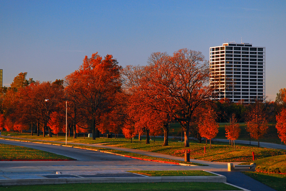 A tree lined street in Kansas City. The trees are full of bright red leaves. 
