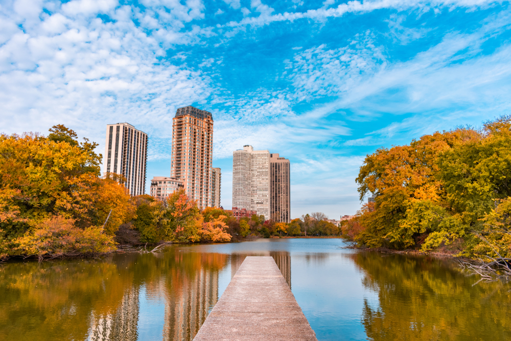 The view of the Chicago skyline from Lincoln Park during fall in Chicago. You can see trees with yellow, orange, and green leaves and a large lake. 