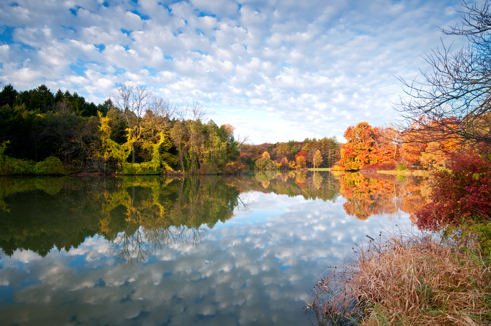 The large lake at Morton Arboretum in Chicago during the fall. You can see red, orange, yellow, and green leaves on the trees around the lake. 