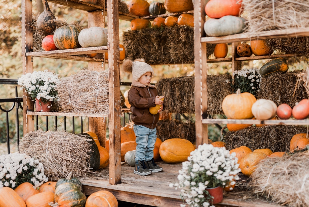 A young child standing on an elaborately decorate pumpkin stand that has pumpkins of all colors, white mums, and hay bales. 