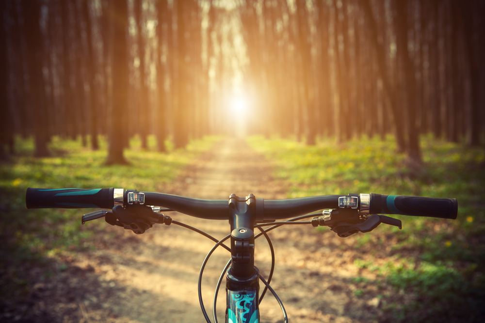 A wooded trails as seen from a bike. The handlebars can be seen in the foreground. 