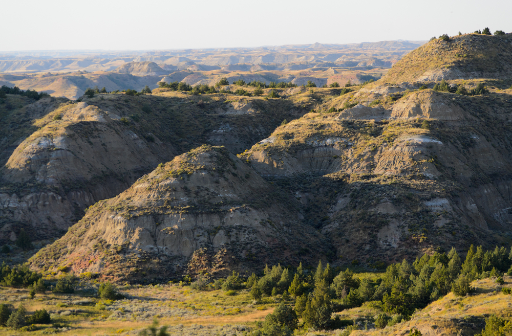 The Badlands of North Dakota showing tall brown hills with greenery at the bottom in an article about state parks in North Dakota  