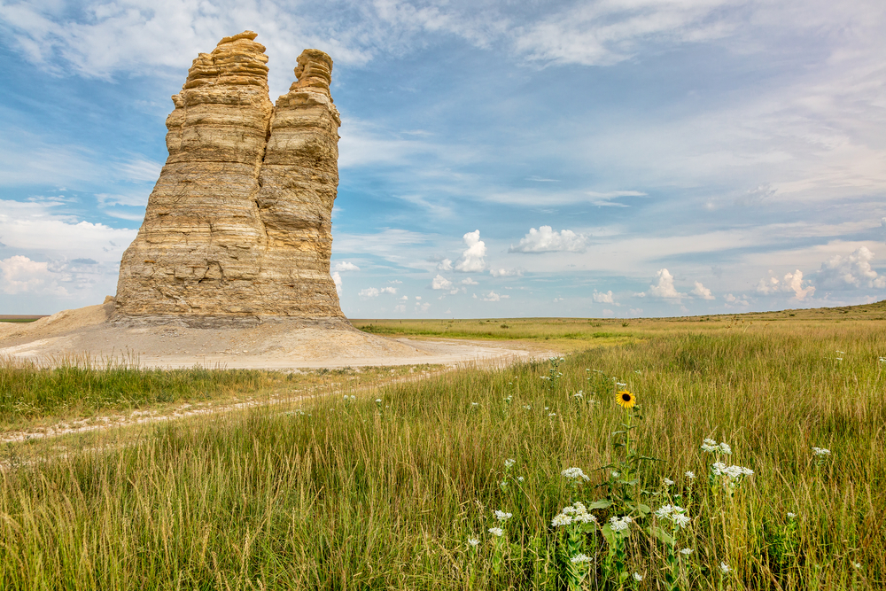 Castle Rock stands in an open prairie with wildflowers.