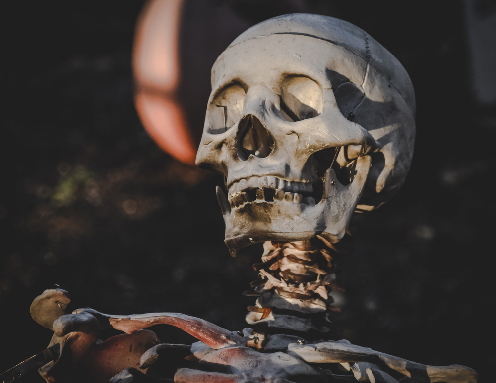 Skull and skeleton on ground fall in kansas