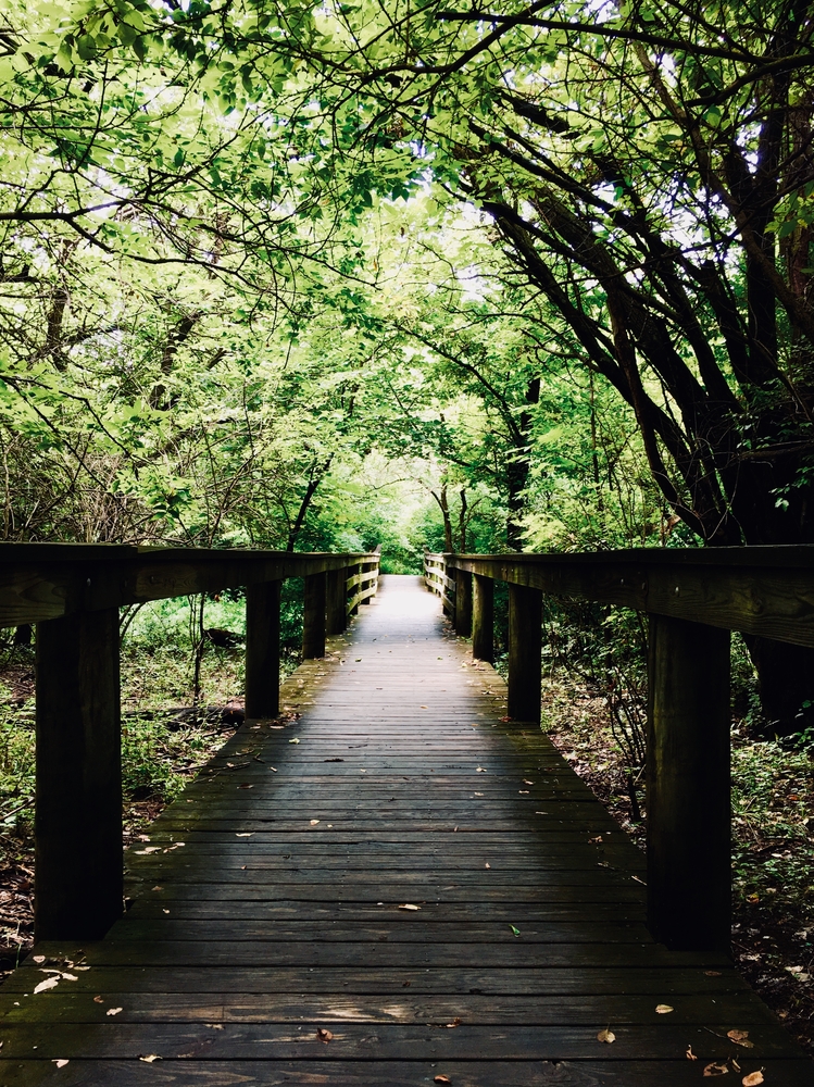 Boardwalk under trees in Chisholm Creek Park, one of the best places for hiking in Kansas.