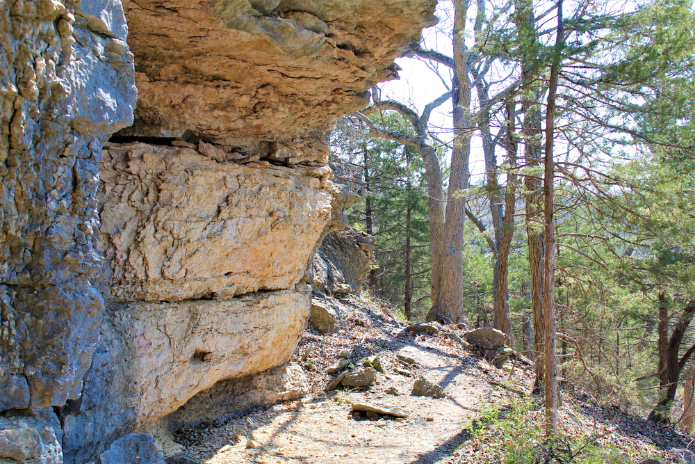 Trail curving around a bluff in a forest.