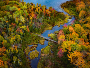 Brilliant autumn colors in trees bordering blue river during fall in Michigan