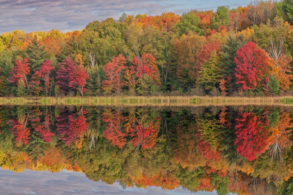 Autumn landscape with mirrored reflections on lake during fall in Michigan.