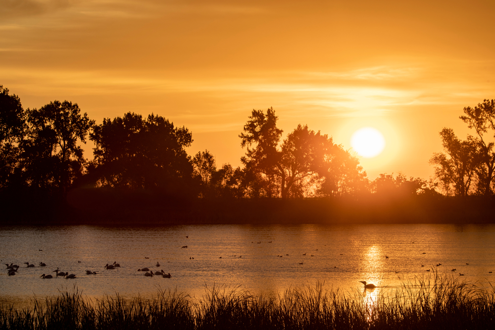 Orange sunset over the wetlands of Fort Ransom State Park with birds in the water. Celebrating fall in North Dakota!