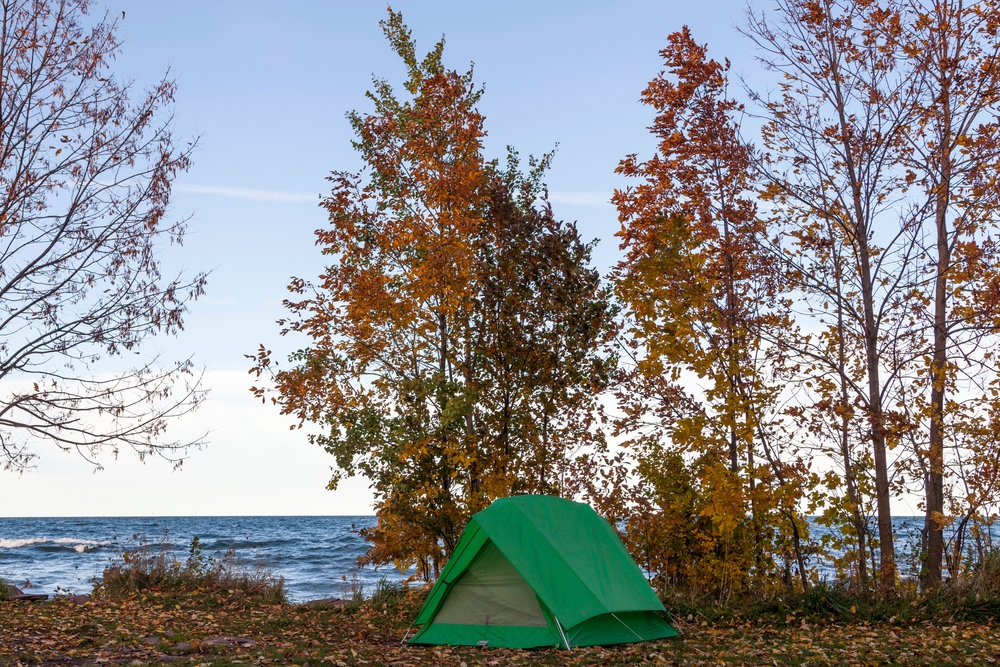 Green tent pitched under autumn trees