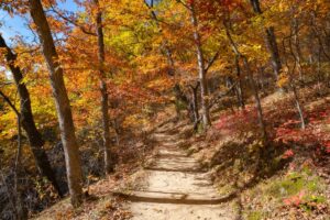 Fall In Kansas: Best Fall Foliage + Activities - Midwest Explored