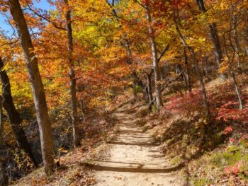 hiking trail through fall trees fall in kansas