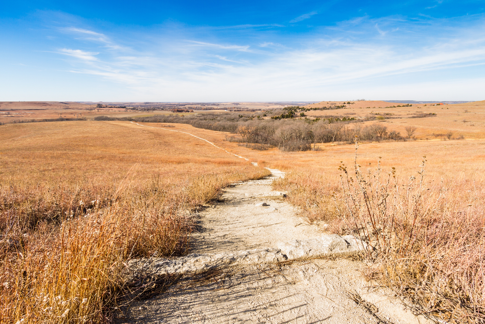 A dirt hiking trail in Kansas going through rolling prairies.