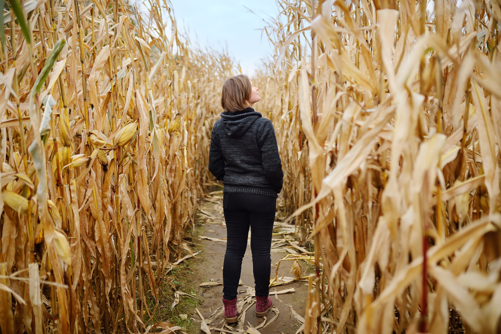 Girl standing in a corn maze