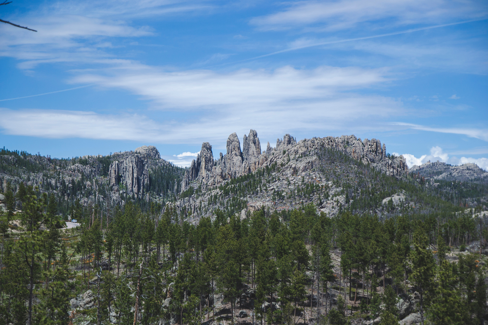 A view of the Black Hills National forest, one of the best things to do in Mount Rushmore, on a sunny day. You can see huge mountains and rock formations and a dense forest. 
