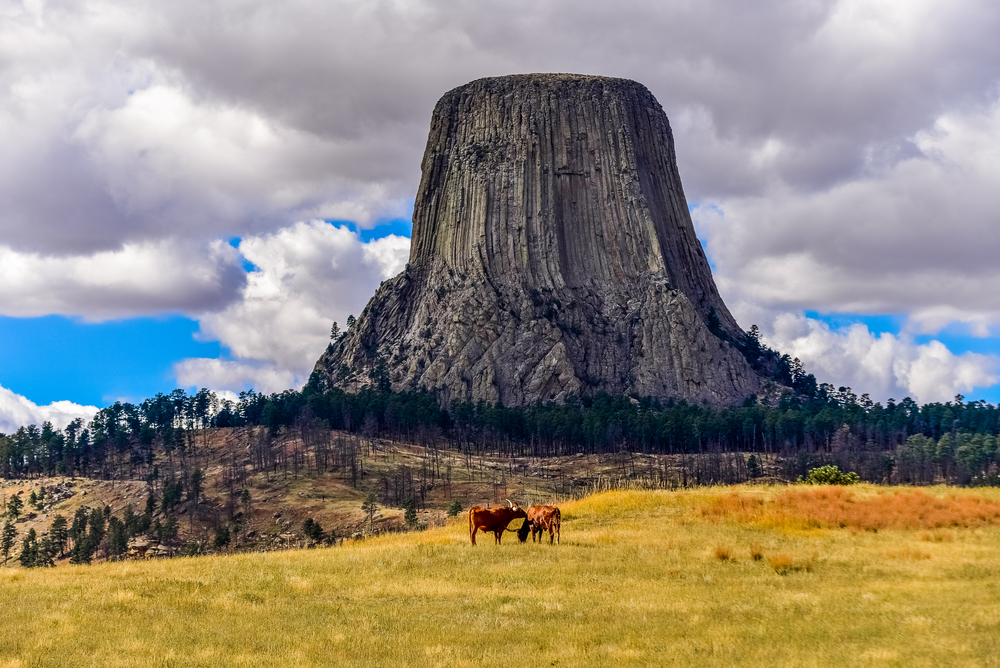 The Devil's Tower in Wyoming with a field in front of it that has cattle in it. The sky is very cloudy with some bright blue spots shinning through