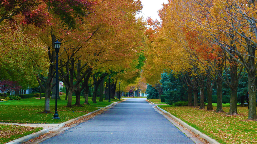 Deserted street lined with brilliant fall in Kansas leaves.