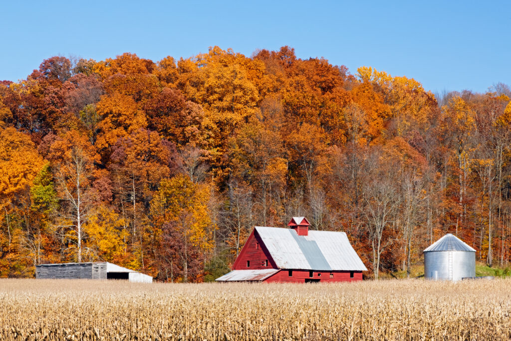 fall road trip midwest