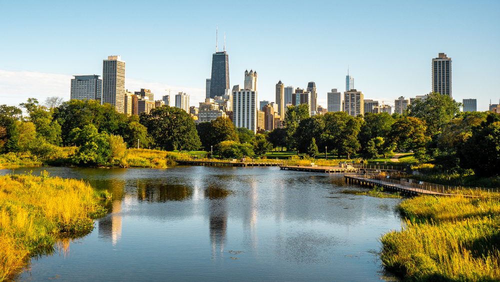 View of the Chicago skyline from Lincoln park. There is a lake and foilage in the foreground. The article is about tours in Chicago