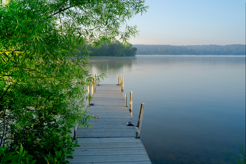Wooden boardwalk with greenery on Left leads to tranquil lake at sunset.