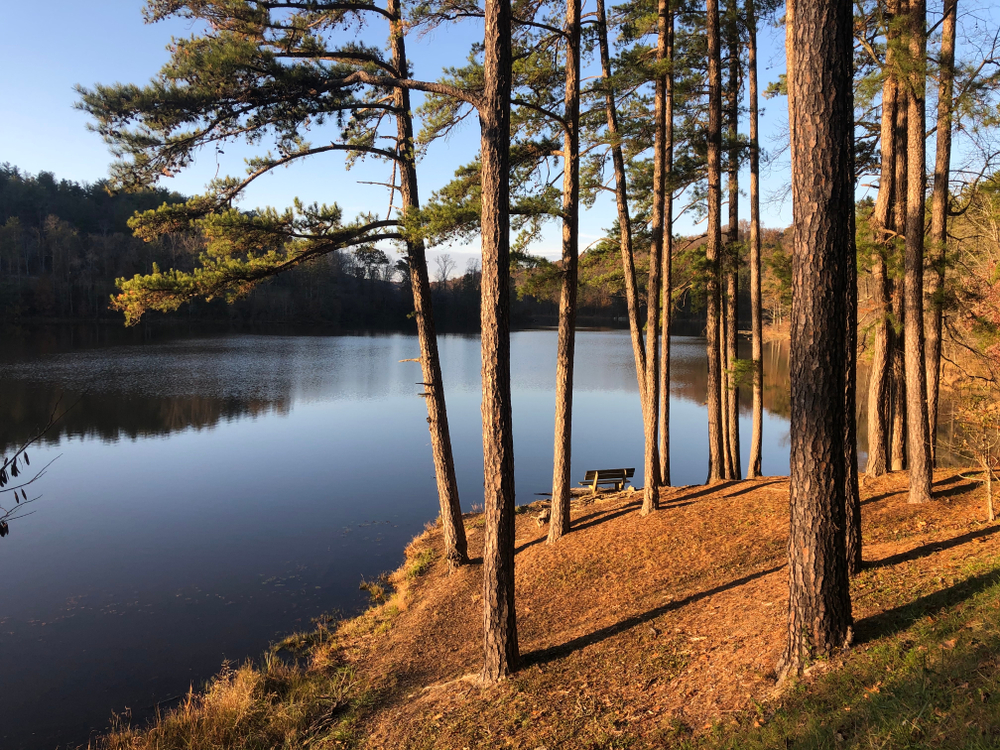View of Lake Hope through trees.