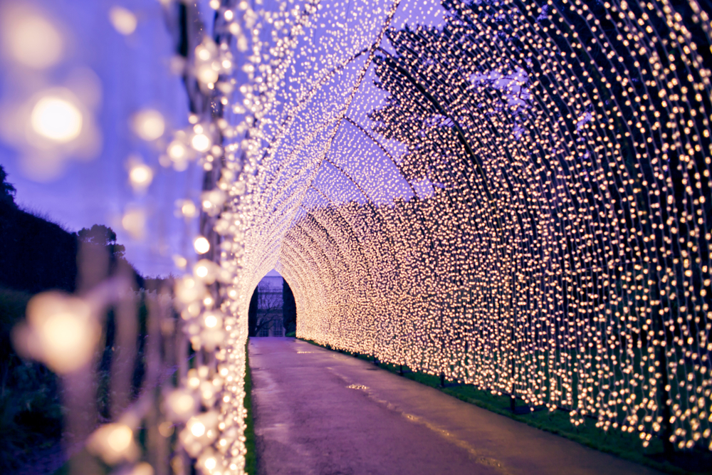 Beautiful white light tunnel at Chicago Botanic Garden.