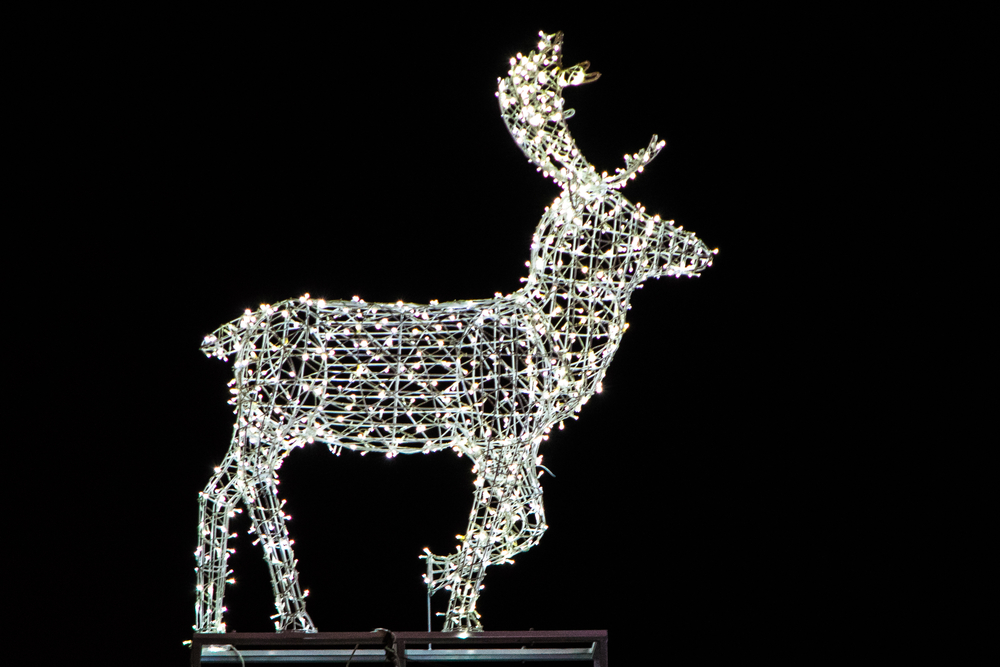 A white reindeer light display.