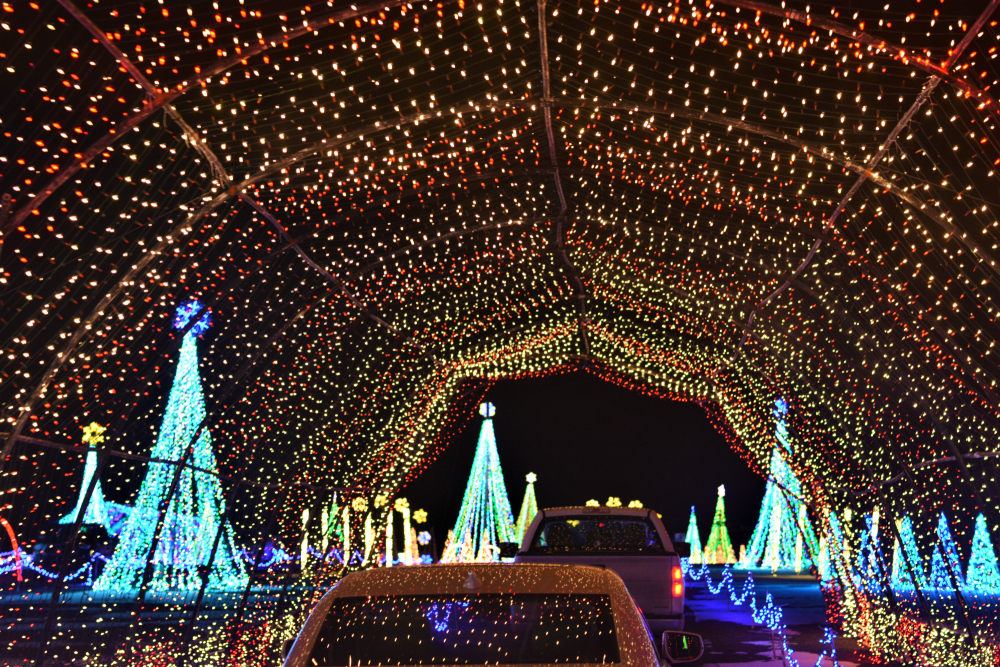 Cars driving through a light tunnel with lit Christmas trees on the other side.