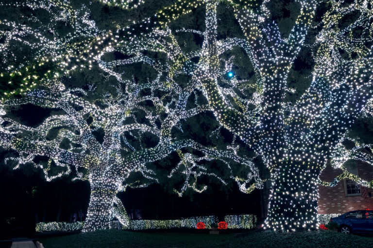 Christmas Lights In Michigan 15 Festive Options Midwest Explored