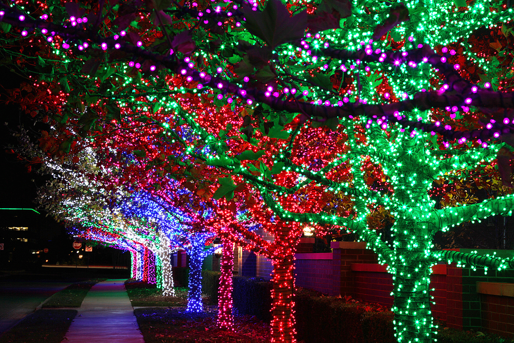 Trees covered in colourful lights on a sodewalk 