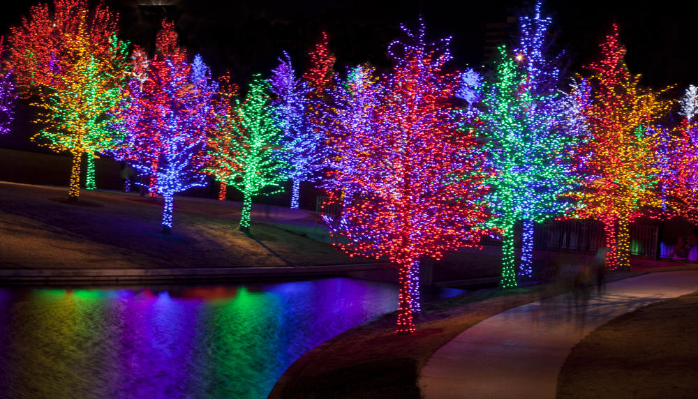 Trees tightly wrapped in LED lights for the Christmas holidays reflecting in lake. Each tree is wrapped in one color.