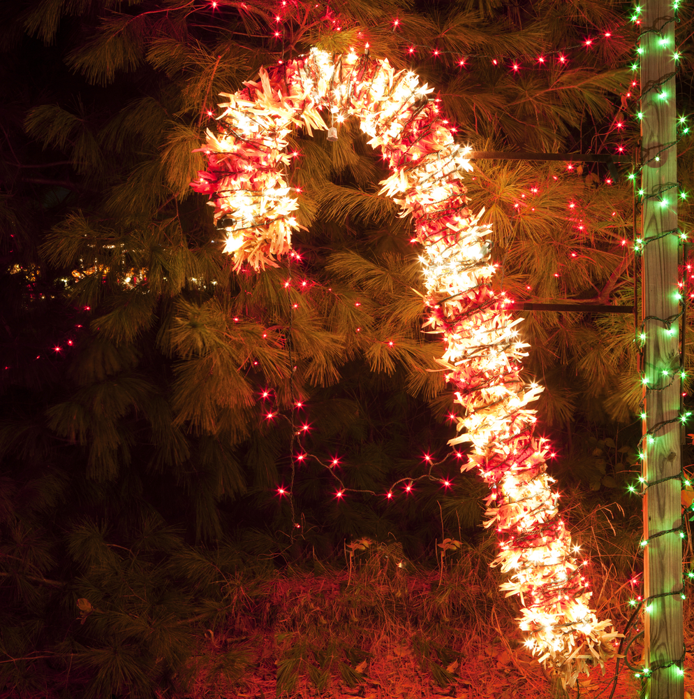 Christmas Lighting with Brightly Lit Candy Cane with a christmas tree in the background. 