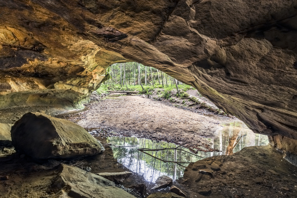 Look out of the inside of a cave at a dried up river bed and the woods