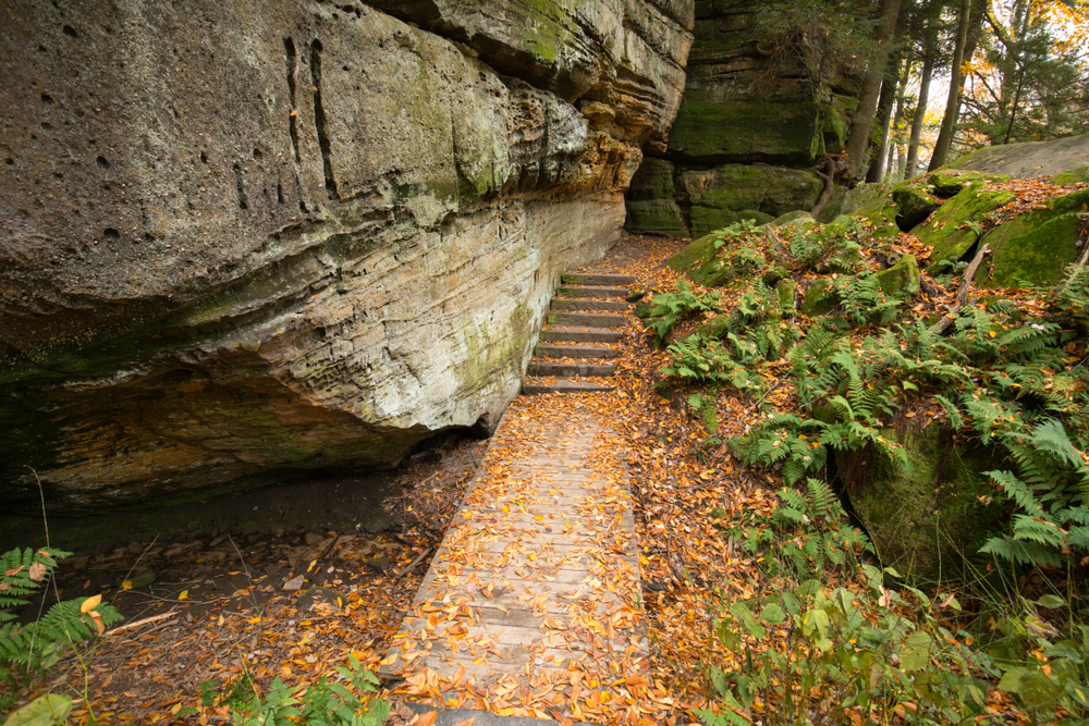 The walkway leading to a hidden opening in a large rock formation in the middle of the woods surrounded by ferns
