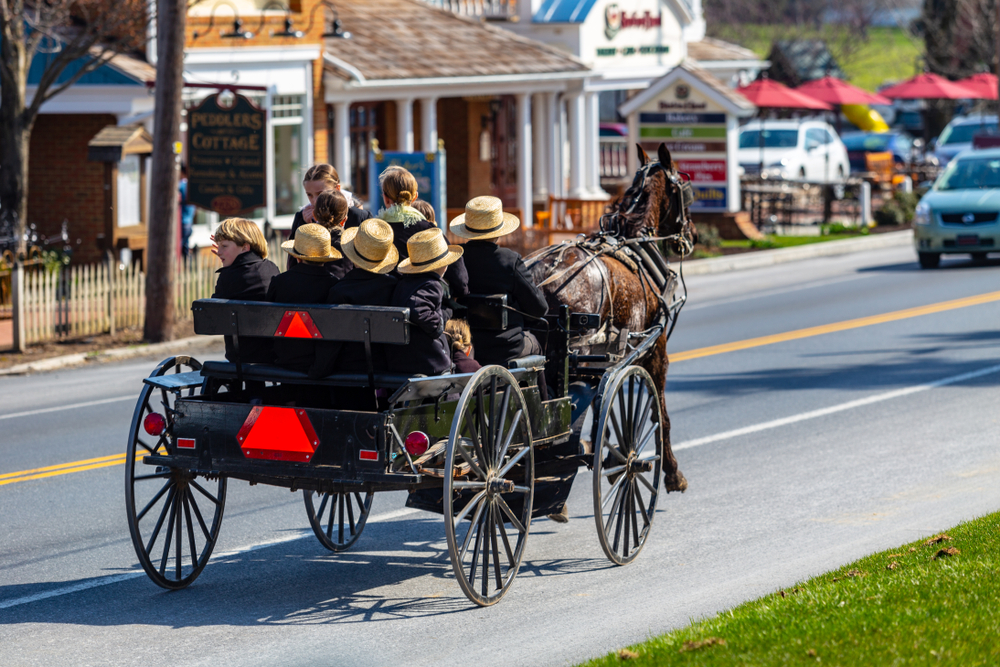 An Amish family fill a buggy on a warm spring day in Lancaster County, Pennsylvania.