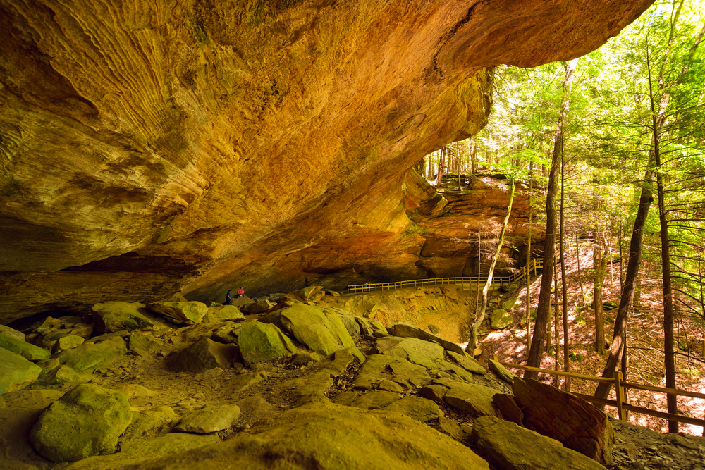 The view of one side of the large Whispering Cave that has views of the woods from inside the large cave