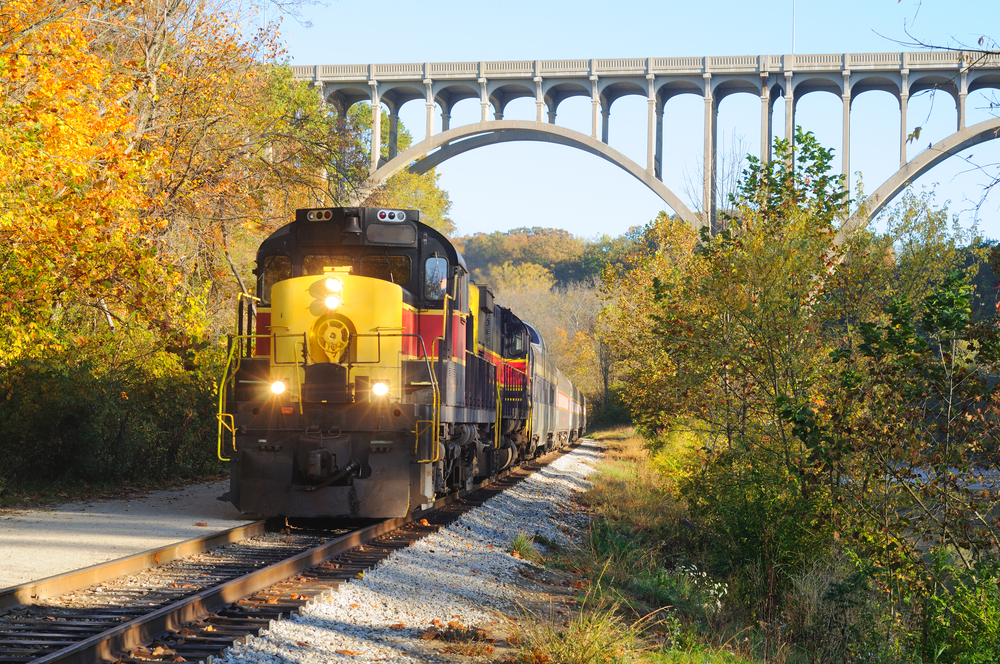 Black, ref, and yellow locomotive riding through greenery on each side with large bridge overhead. things to do in Cuyahoga Valley National Park