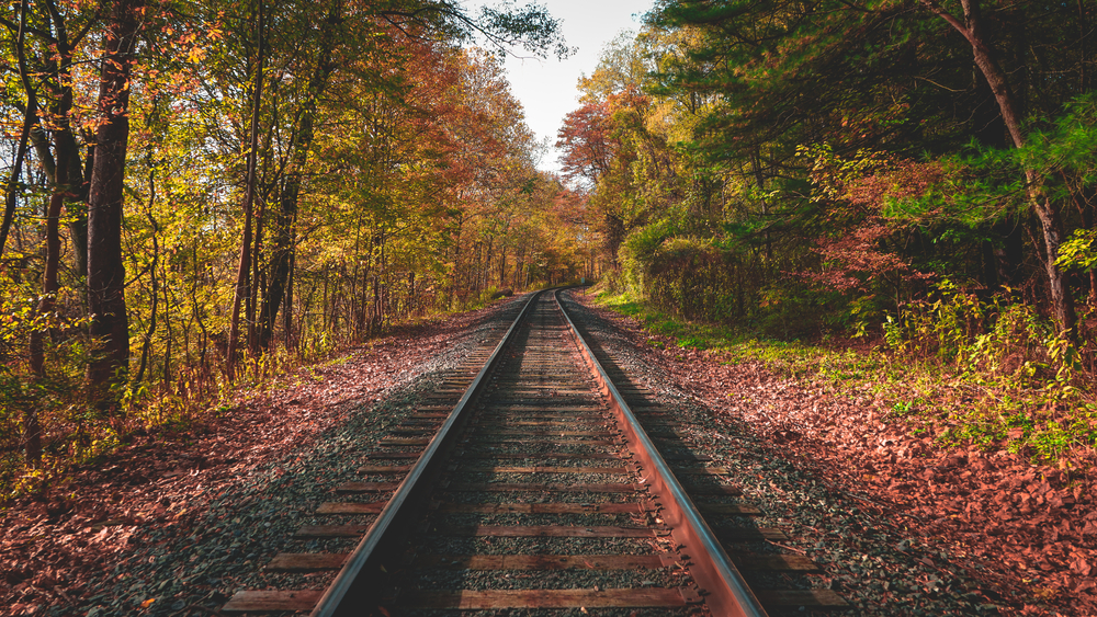 Railroad heading through a pretty forest with fall colors in Ohio. During train rides inn Ohio.