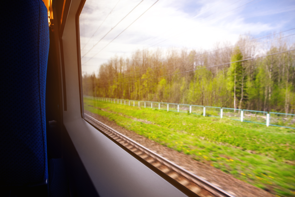 View out a train window of a forest. During train rides in Ohio.