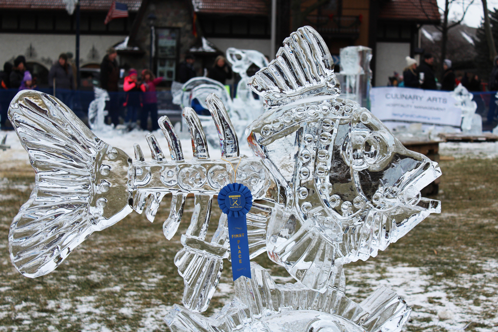 Ice sculpture competition