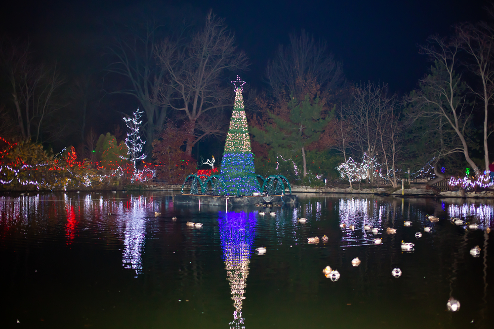 A view of Christmas lights along the side of a pond