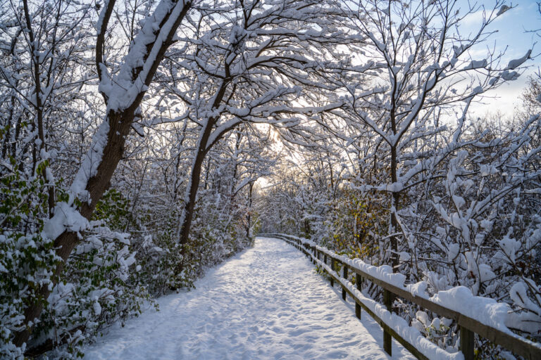 15-best-things-to-do-in-winter-in-michigan-midwest-explored